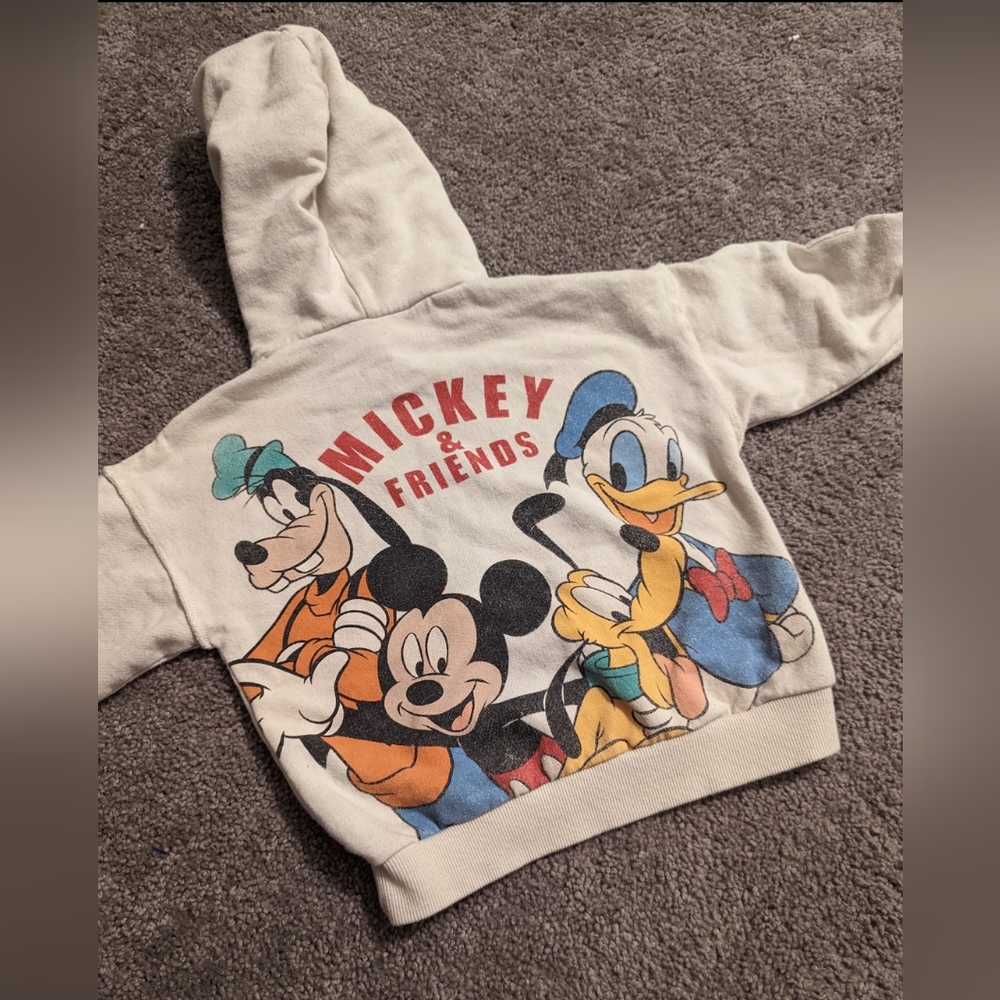 Zara hoodie